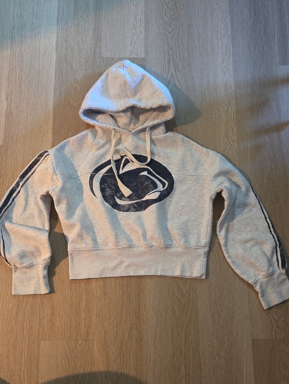 Penn State Cropped Hoodie